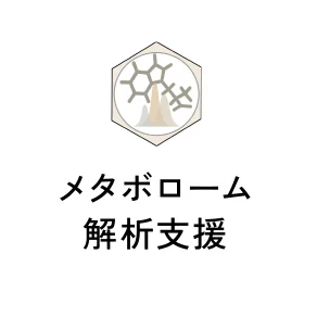 メタボローム解析支援
