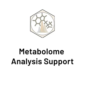 Metabolome Analysis Support